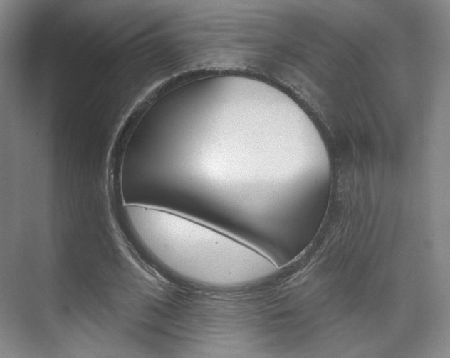 X0000075350584200609080815