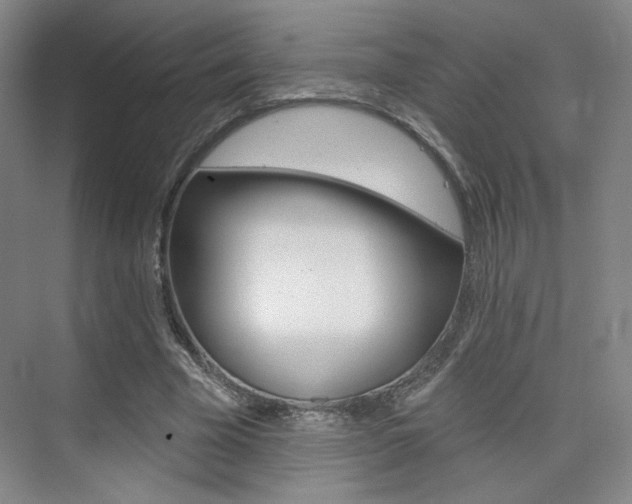 X0000075350585200609080815