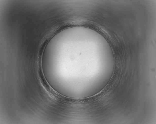 X0000075350586200609080815