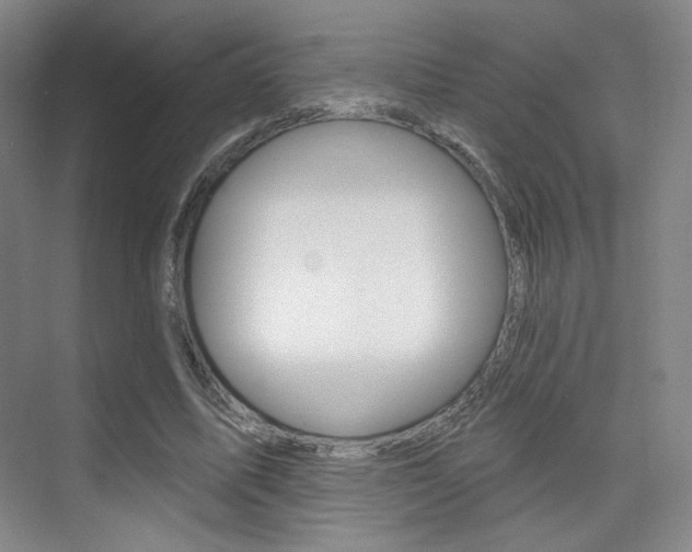 X0000075350587200609080815