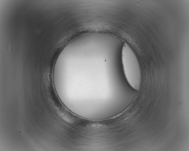 X0000075350590200609080815