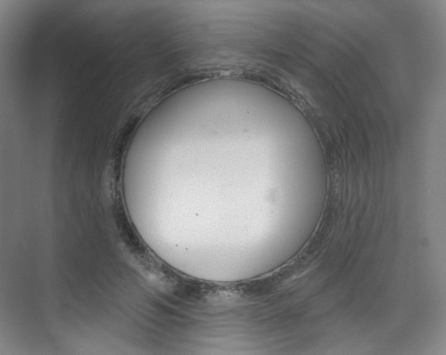 X0000075350594200609080815