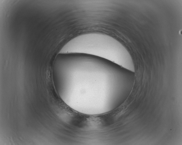 X0000075350603200609080814