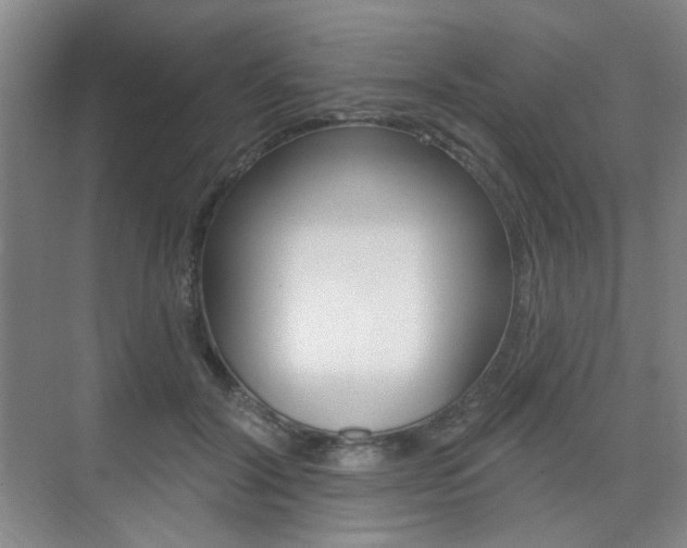 X0000075350604200609080814