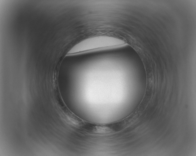 X0000075350605200609080814