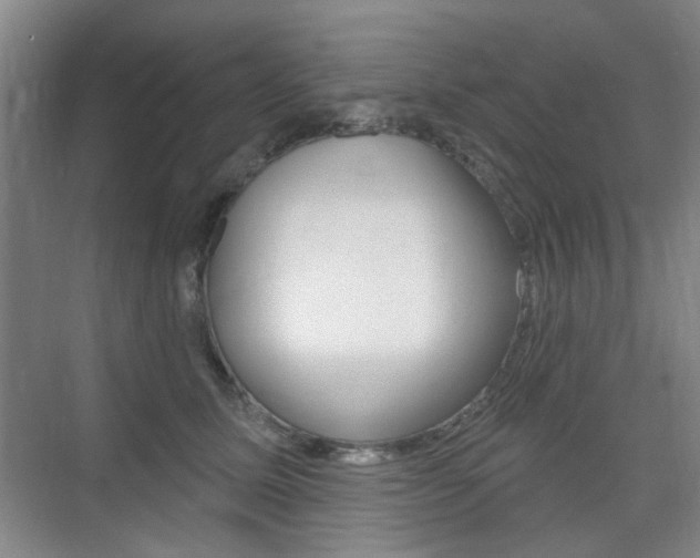 X0000075350611200609080814