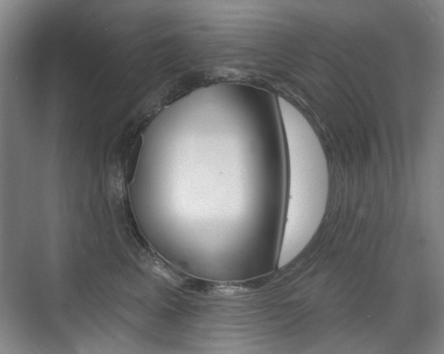 X0000075350617200609080814