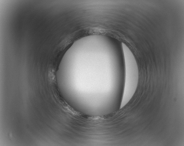 X0000075350621200609080814