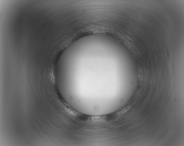X0000075350622200609080814