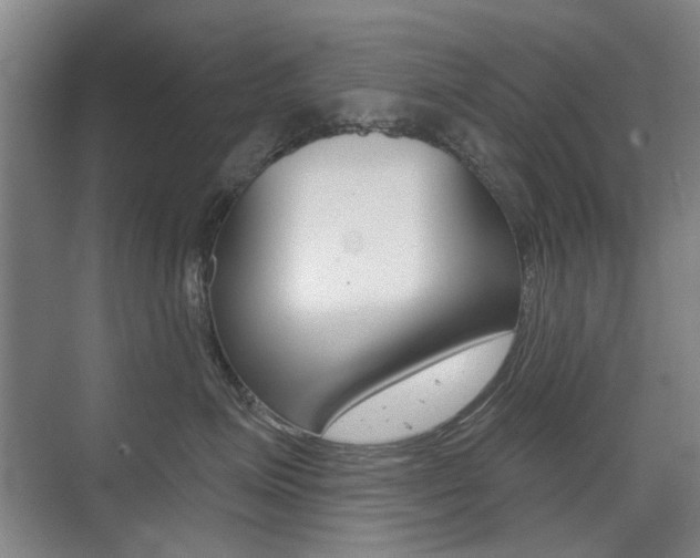 X0000075350623200609080814