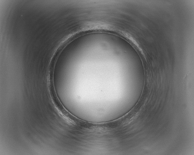 X0000075350629200609080813