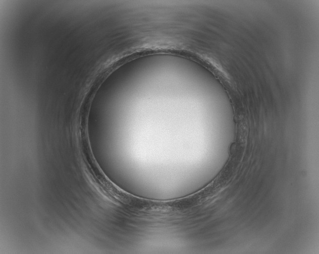 X0000075350631200609080813