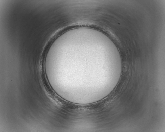 X0000075350632200609080813
