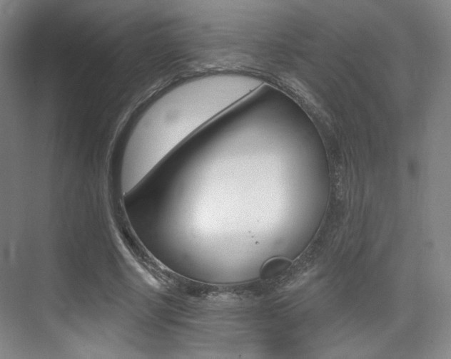 X0000075350634200609080813