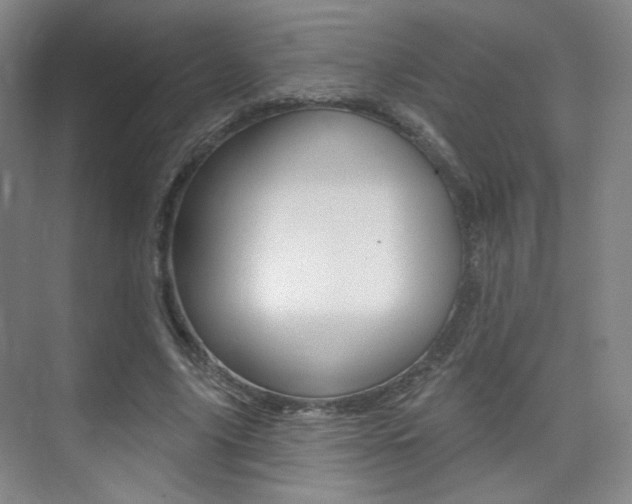 X0000075350635200609080813