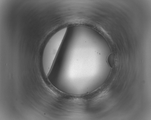 X0000075350637200609080813