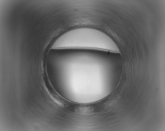 X0000075350638200609080813
