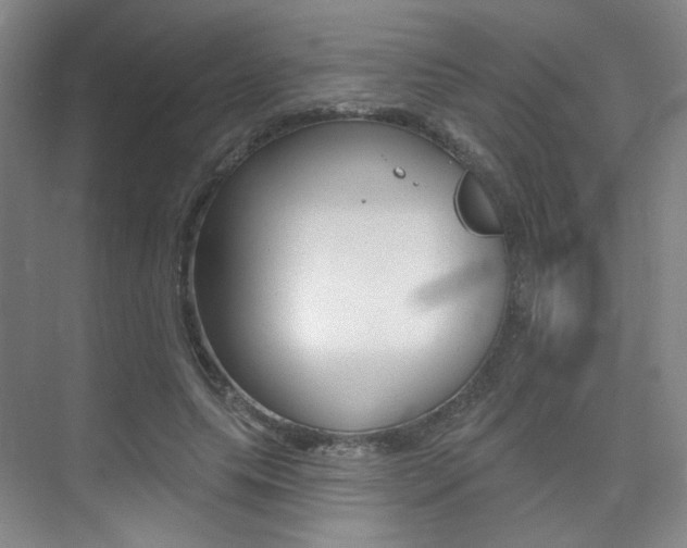 X0000075350639200609080814