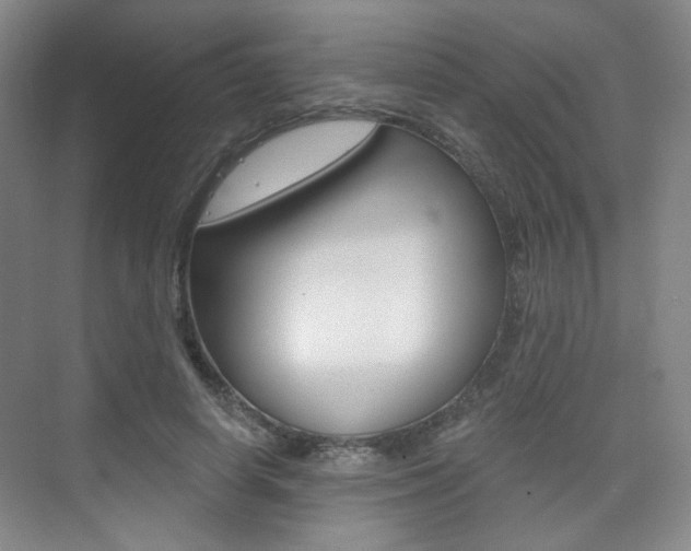 X0000075350642200609080814