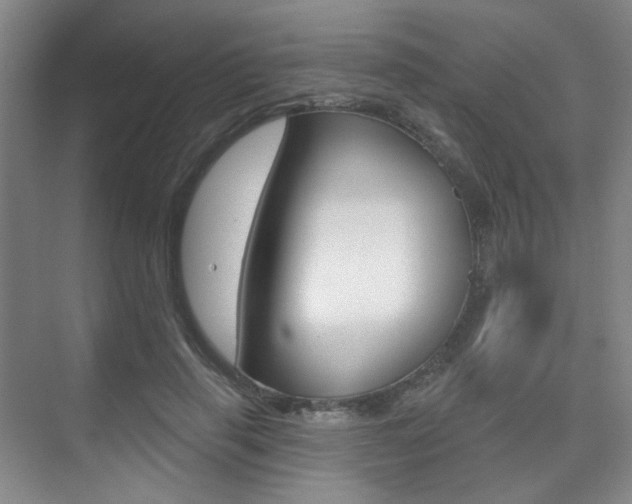 X0000075350645200609080814