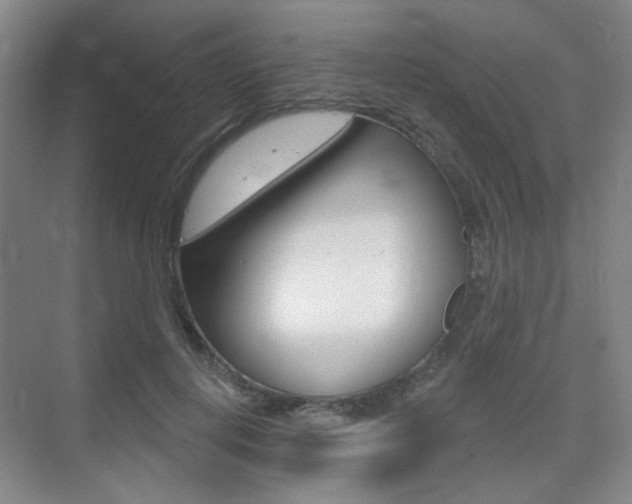 X0000075350648200609080814