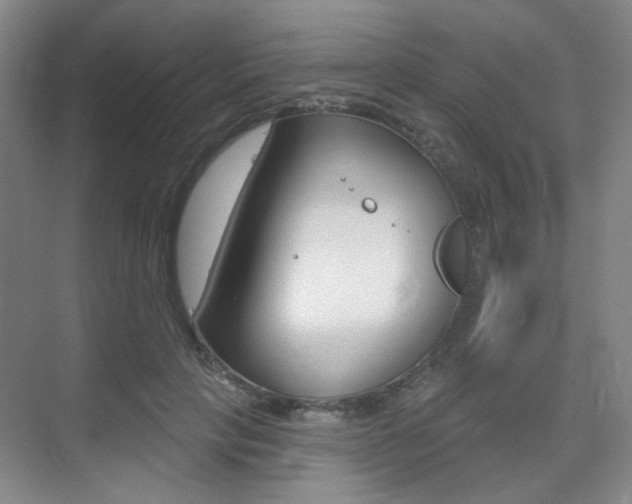 X0000075350649200609080814