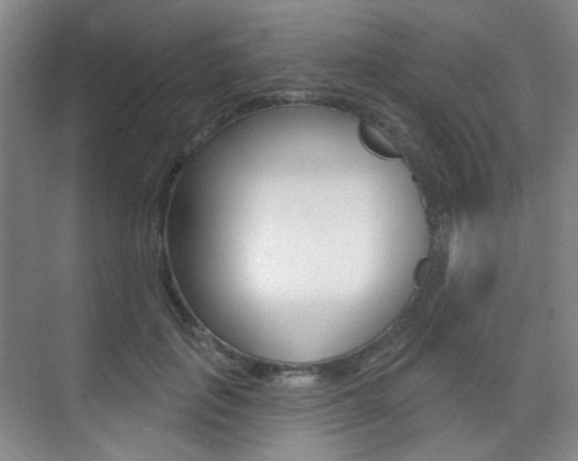 X0000075350651200609080814