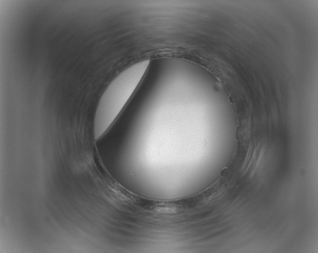 X0000075350653200609080814