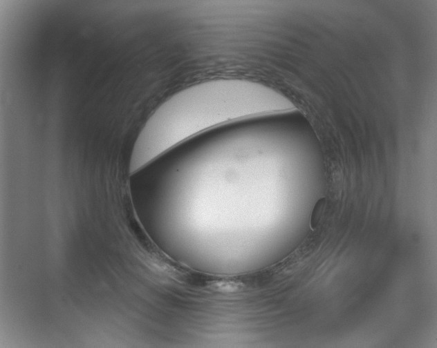 X0000075350654200609080814