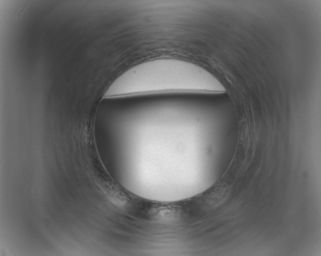 X0000075350655200609080814