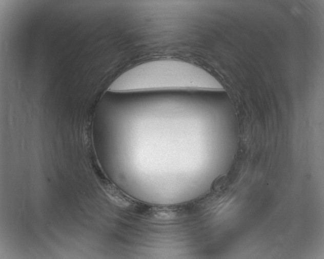 X0000075350658200609080814
