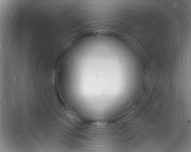 X0000075350660200609080814