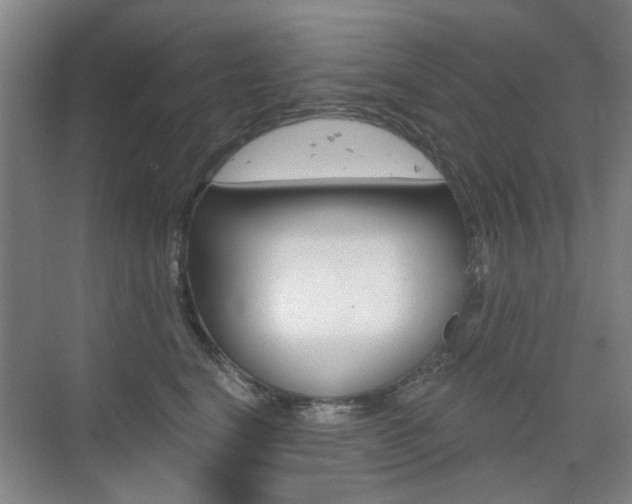 X0000075350664200609080814
