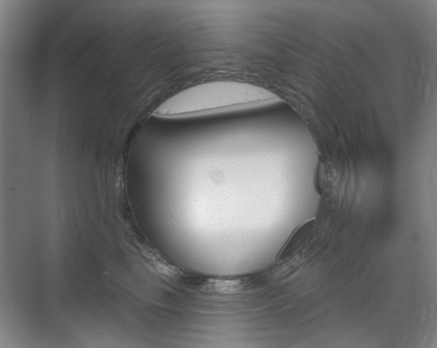 X0000075350665200609080814