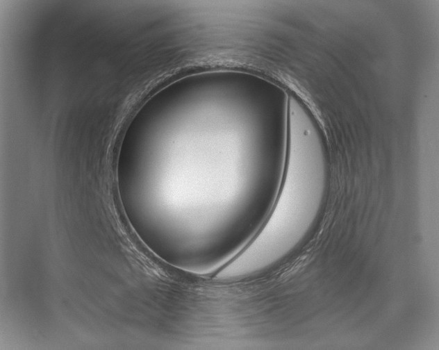 X0000075350673200609080813