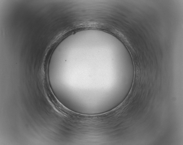 X0000075350674200609080813