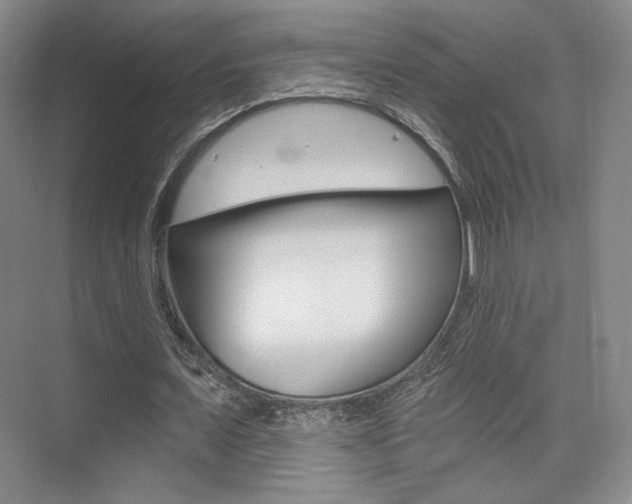 X0000075350675200609080813