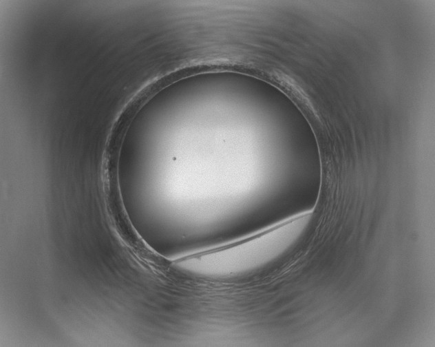 X0000075350676200609080813