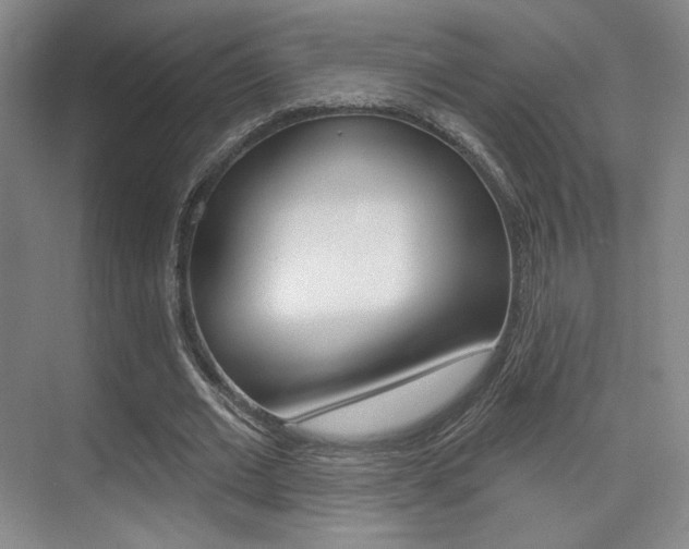 X0000075350677200609080813