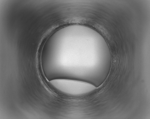 X0000075350678200609080813