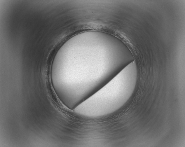 X0000075350679200609080813
