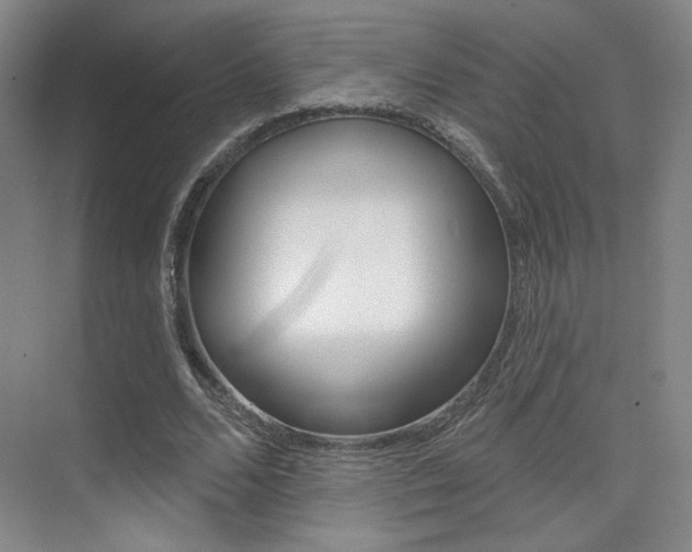 X0000075350680200609080813