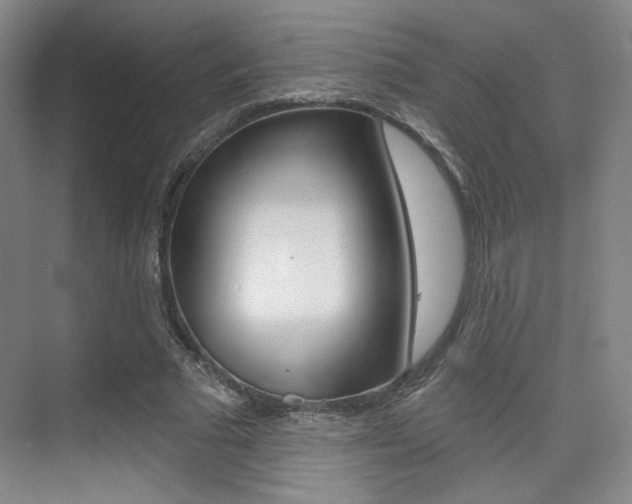 X0000075350681200609080813