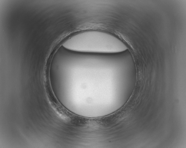 X0000075350682200609080813