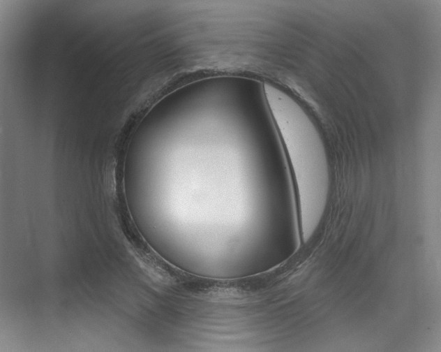 X0000075350685200609080813