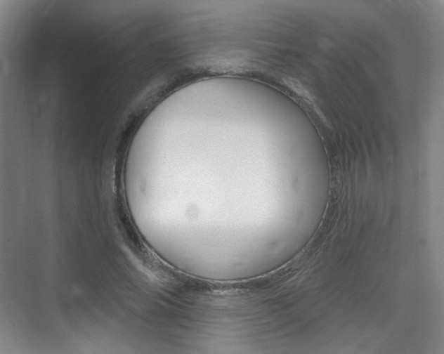 X0000075350686200609080813