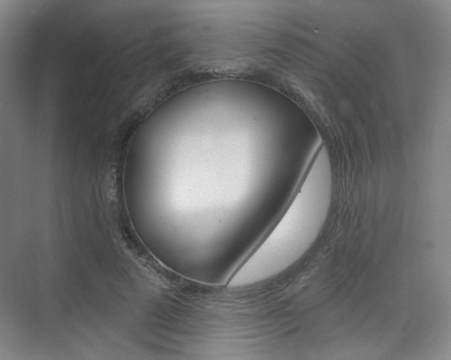 X0000075350689200609080813