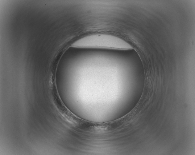 X0000075350692200609080813