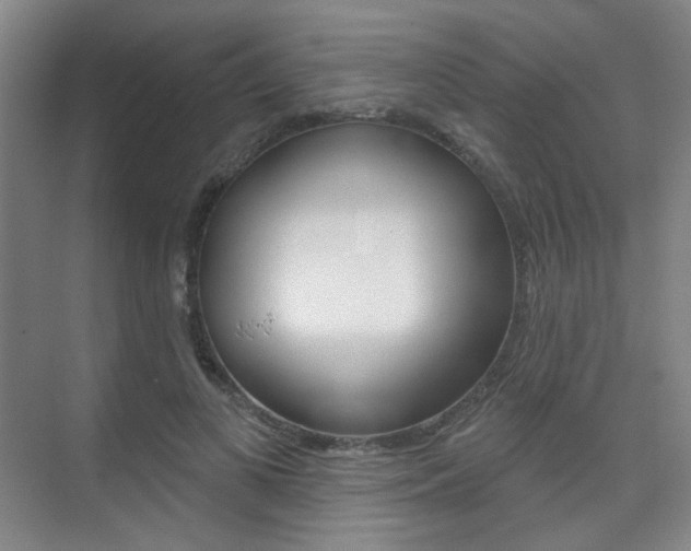 X0000075350693200609080813