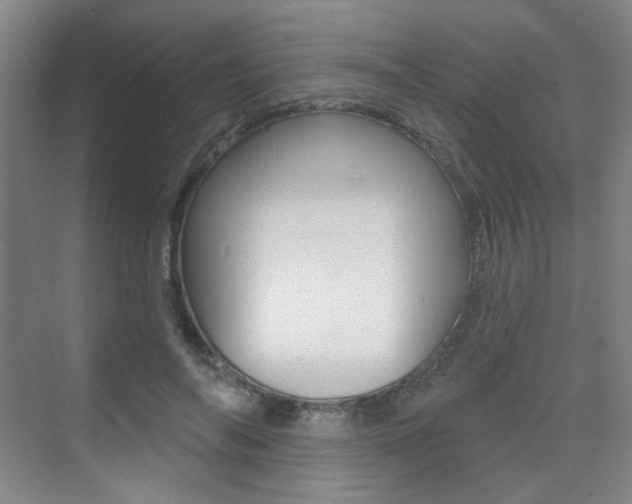 X0000075350694200609080813